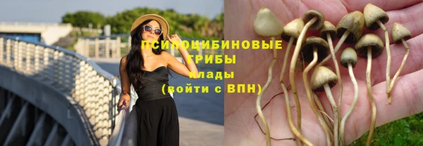 меф Армянск