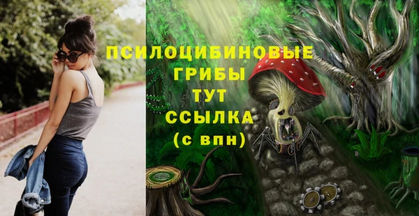 дмт Арсеньев