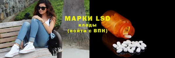 индика Аркадак