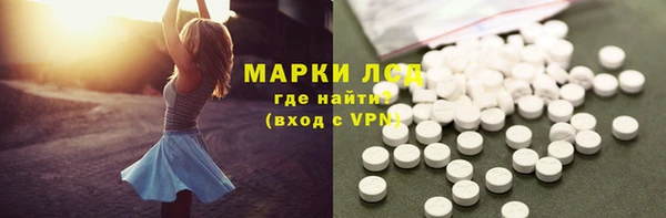 индика Аркадак
