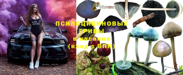 дмт Арсеньев