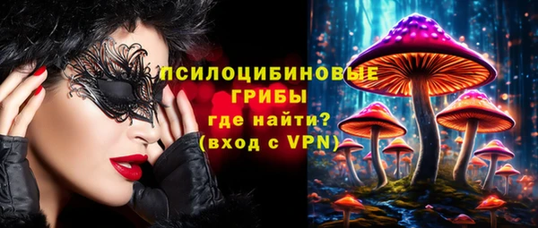 ПСИЛОЦИБИНОВЫЕ ГРИБЫ Нязепетровск