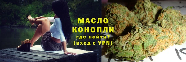 индика Аркадак