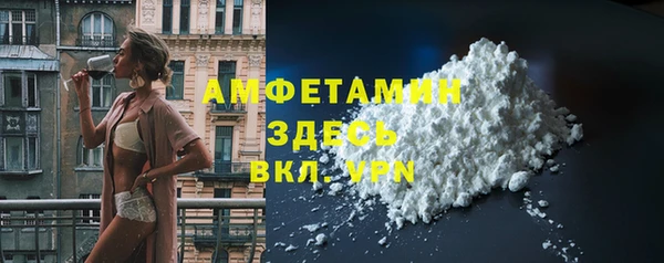индика Аркадак