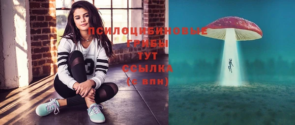 индика Аркадак