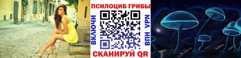 где купить наркотик  Северо-Курильск  Галлюциногенные грибы прущие грибы 